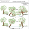 Quelles actions mener pour entretenir une rivière ?