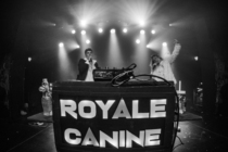 “Royale Canine” en concert et soirée jeux