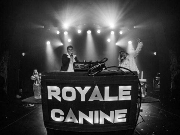 “Royale Canine” en concert et soirée jeux